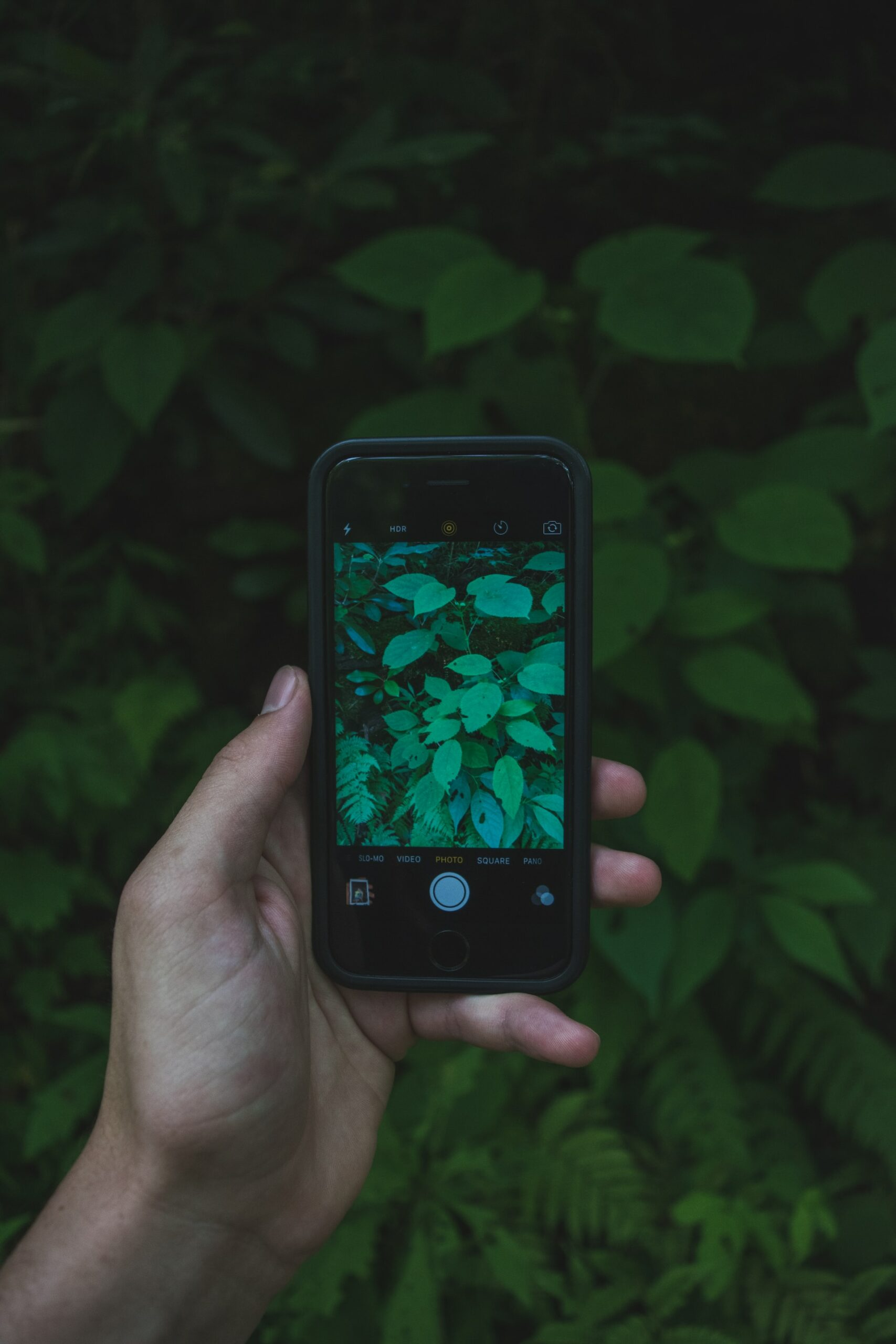 mobile-app